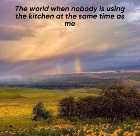 The world when nobody is using the kitchen at the same time as me