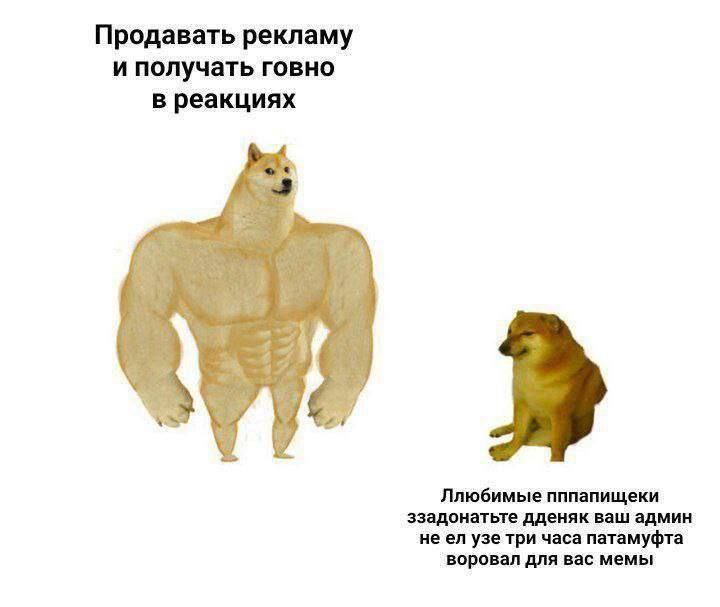 Продавать рекламу и получать говно в реакциях Ллюбимые пппапищеки ззадонатьте дденяк ваш админ не узе три часа патамуфта воровал для вас мемы