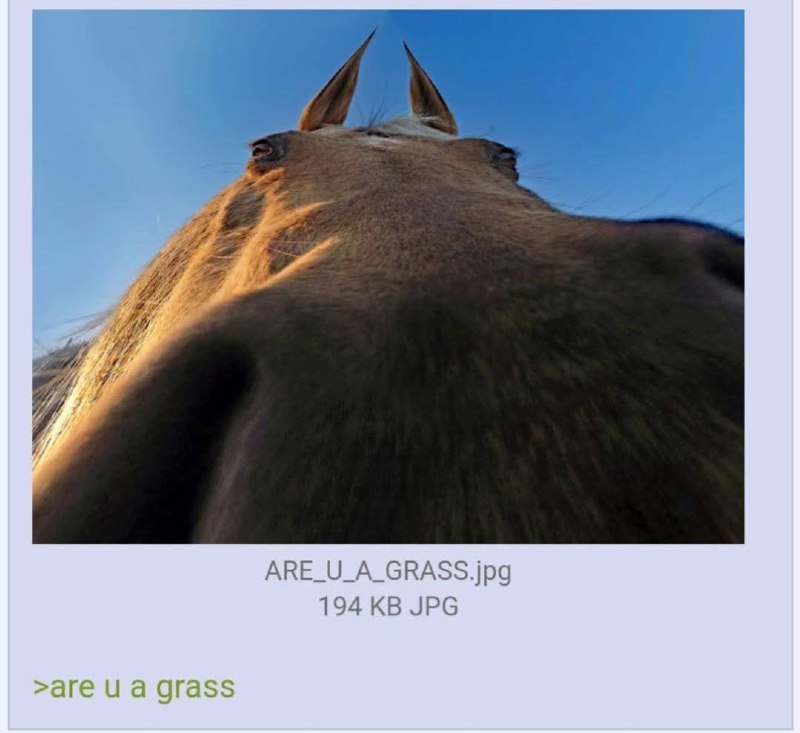 ARE_U_A_GRASS.jpg 194 JPG