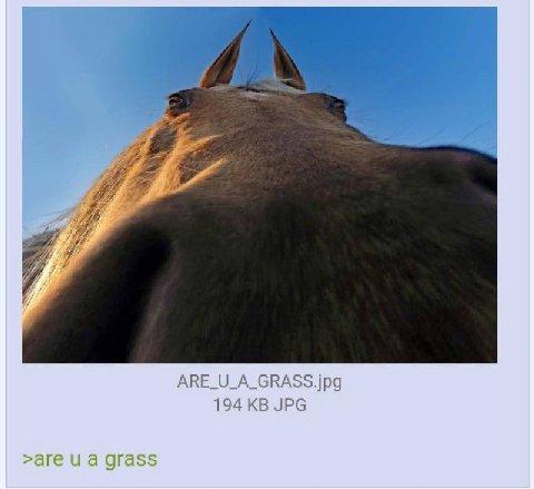ARE_U_A_GRASS.jpg 194 JPG