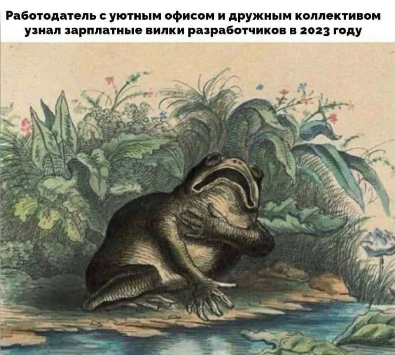 Работодатель с уютным офисом и дружным коллективом узнал зарплатные вилки разработчиков в 2023 году А at Nye