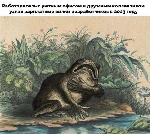 Работодатель с уютным офисом и дружным коллективом узнал зарплатные вилки разработчиков в 2023 году А at Nye