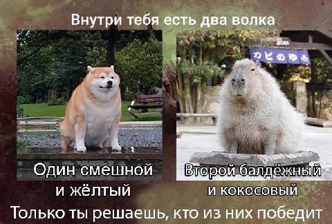 Внутри тебя есть два волка owe A, Один смешной Вдоройбалдежны и желтыи И КОКОСОВЫЙ Только ты решаешь, кто из них победит
