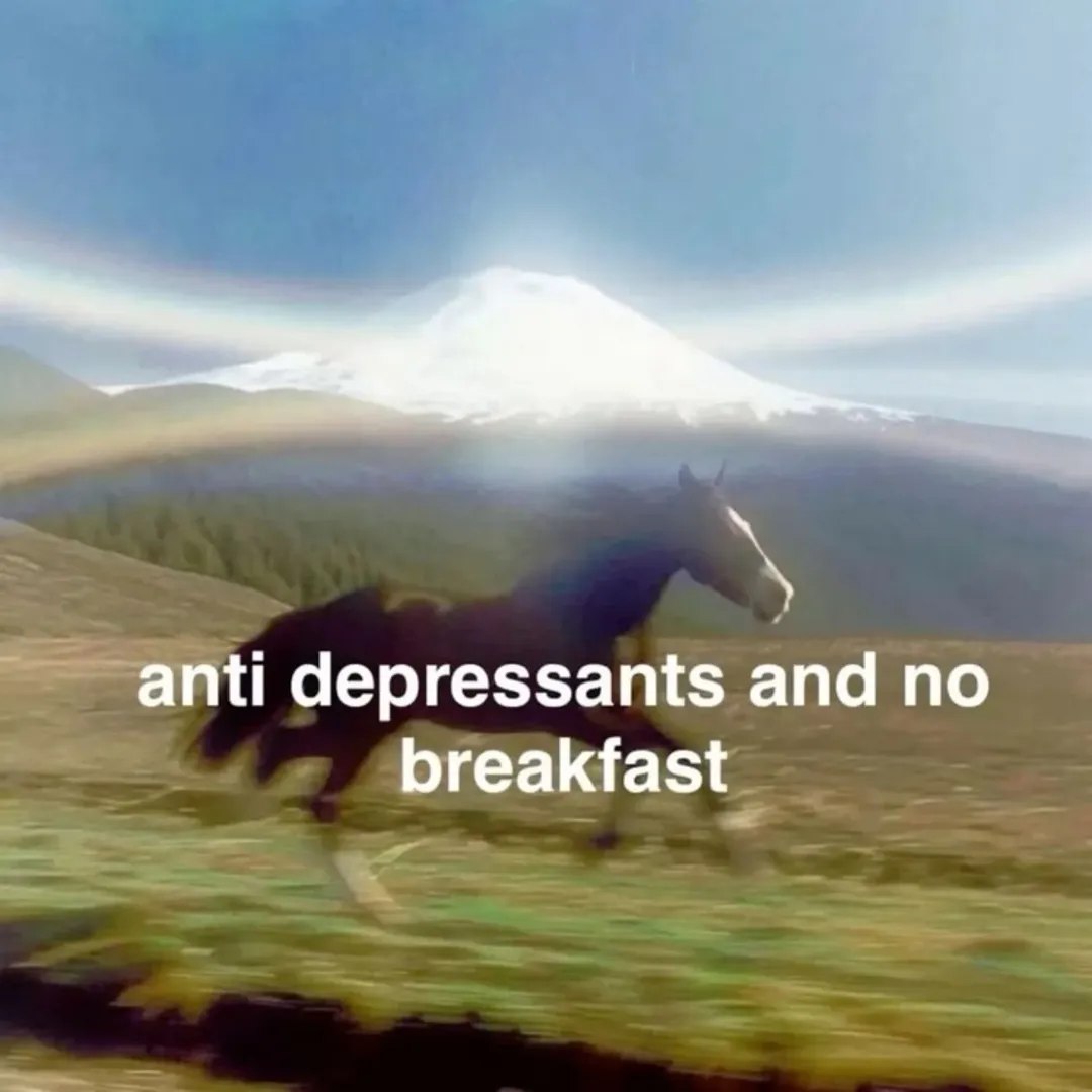 anti depressants and no breakfast