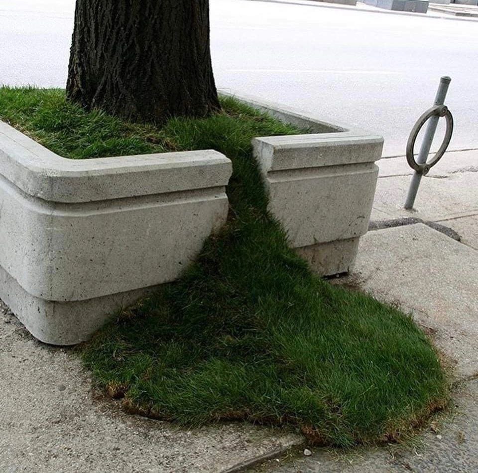 TIS:
