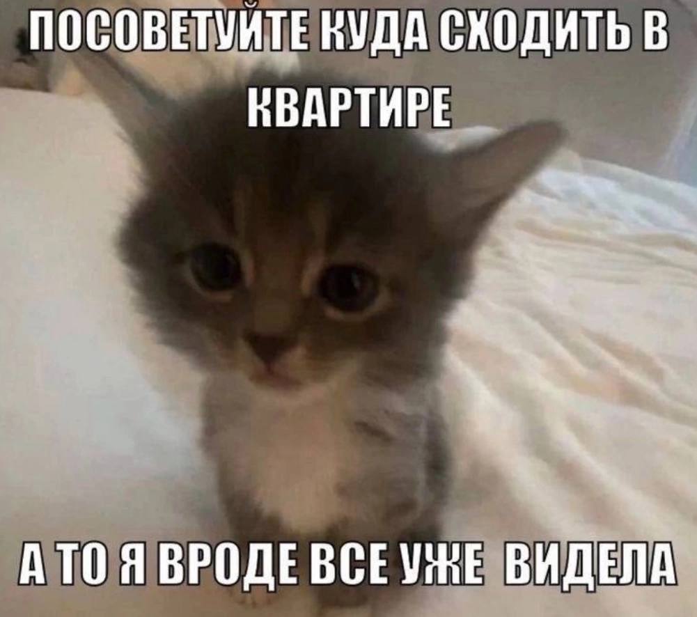 ПОСОВЕТУИТЕ КУДА СХОДИТЬ В КВАРТИРЕ А ТОЯ ВРОДЕ ВСЕУЖЕ ВИДЕ