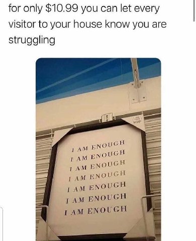for only $10.99 you can let every visitor to your house know you are struggling ENOUGH ТАМ ЕМООСН
