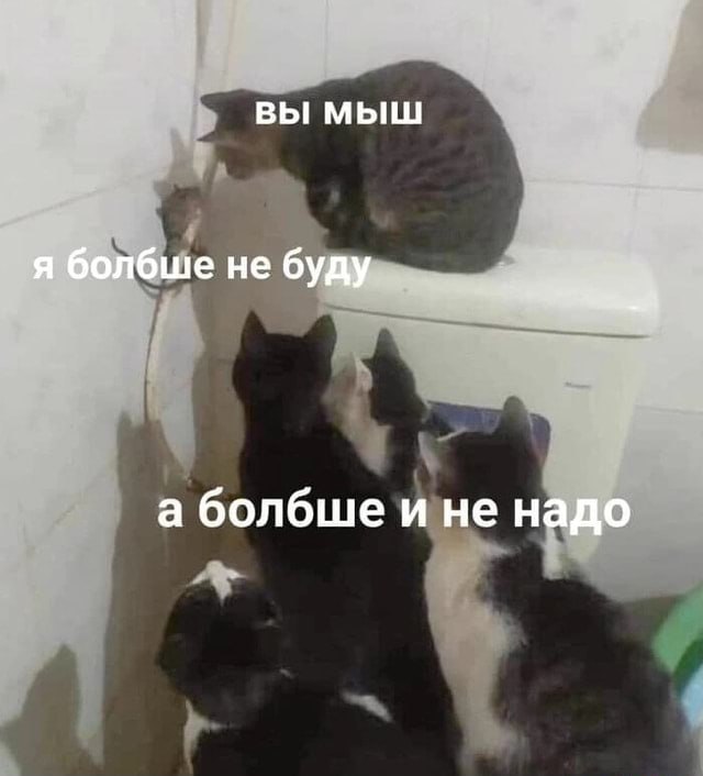 ВЫ МЫШ я болбше не буду а болбше ине надо