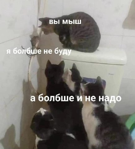 ВЫ МЫШ я болбше не буду а болбше ине надо
