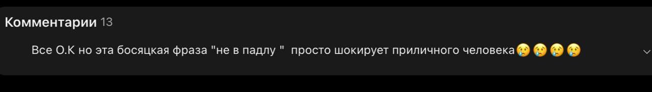 Комментарии 13 Все но эта босяцкая фраза "не в падлу просто шокирует приличного человека