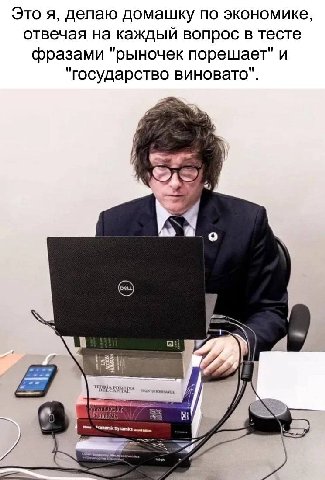 Это я, делаю домашку по экономике, отвечая на каждый вопрос в тесте фразами "рыночек порешает" и "государство виновато". i