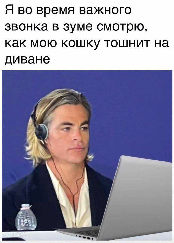Я во время важного звонка в зуме смотрю, как мою кошку тошнит на диване