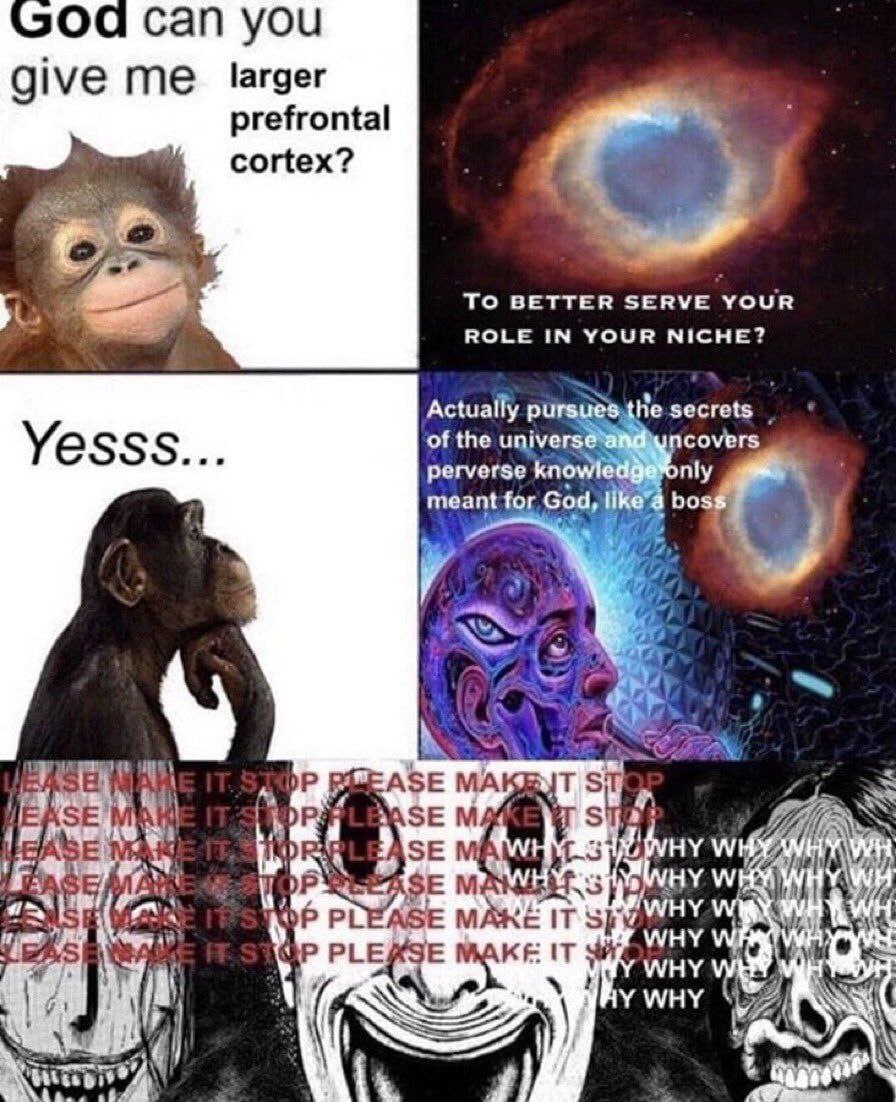 can you give me larger prefrontal cortex? To BETTER SERVE YOUR ROLE IN YOUR NICHE? Actually {Не of the covers Yesss. perverse meant for God, 3 Up EASE ЗЕМ ASE ГОР PLEASE MAKE IT ну WHY i,
