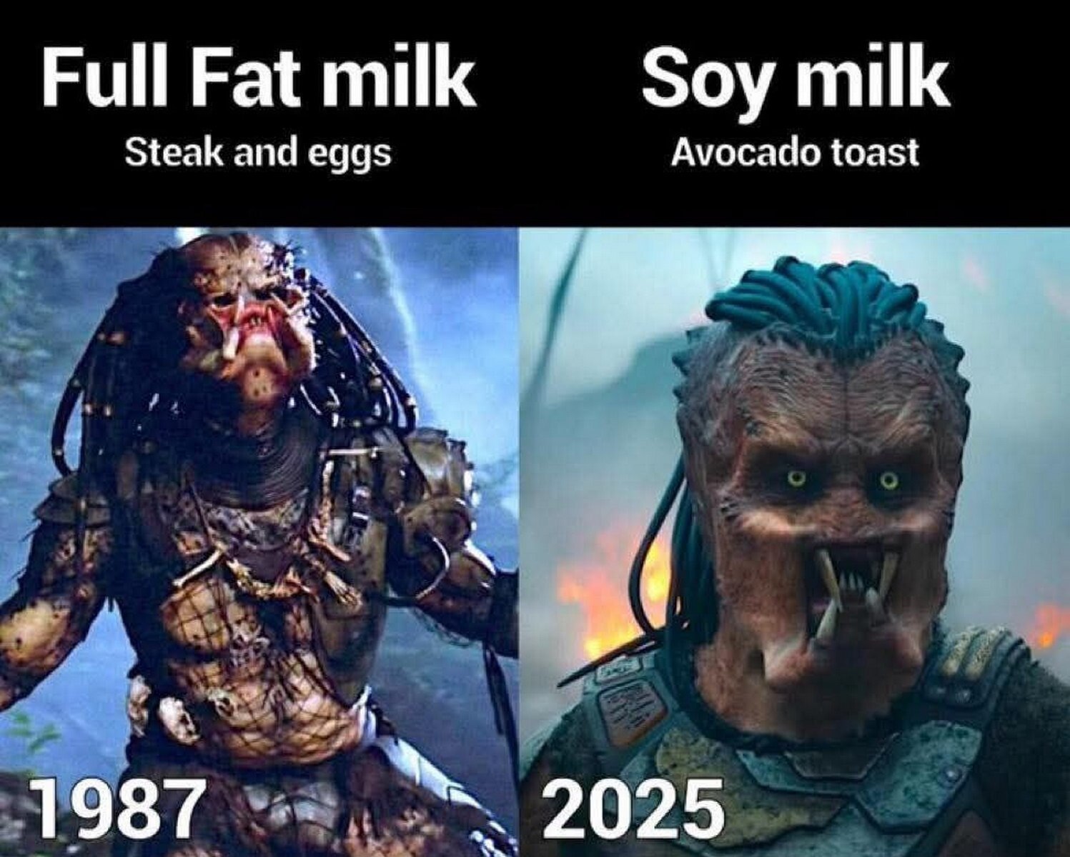 Full Fat milk Soy milk Avocado toast Steak and eggs 987 2025