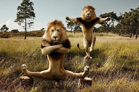 be. Tle у on tee TES 2% i Я у 2 и и 5 2 я a и foe 2 у. и 4 и 4 и А и: и и и и „7; и и: и a и я we 4 И