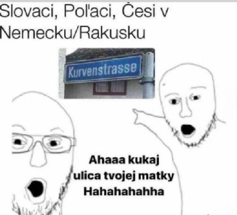 Slovaci, Pol'aci, Cesi Nemecku/Rakusku Ahaaa kukaj ulica tvojej matky Hahahahahha a