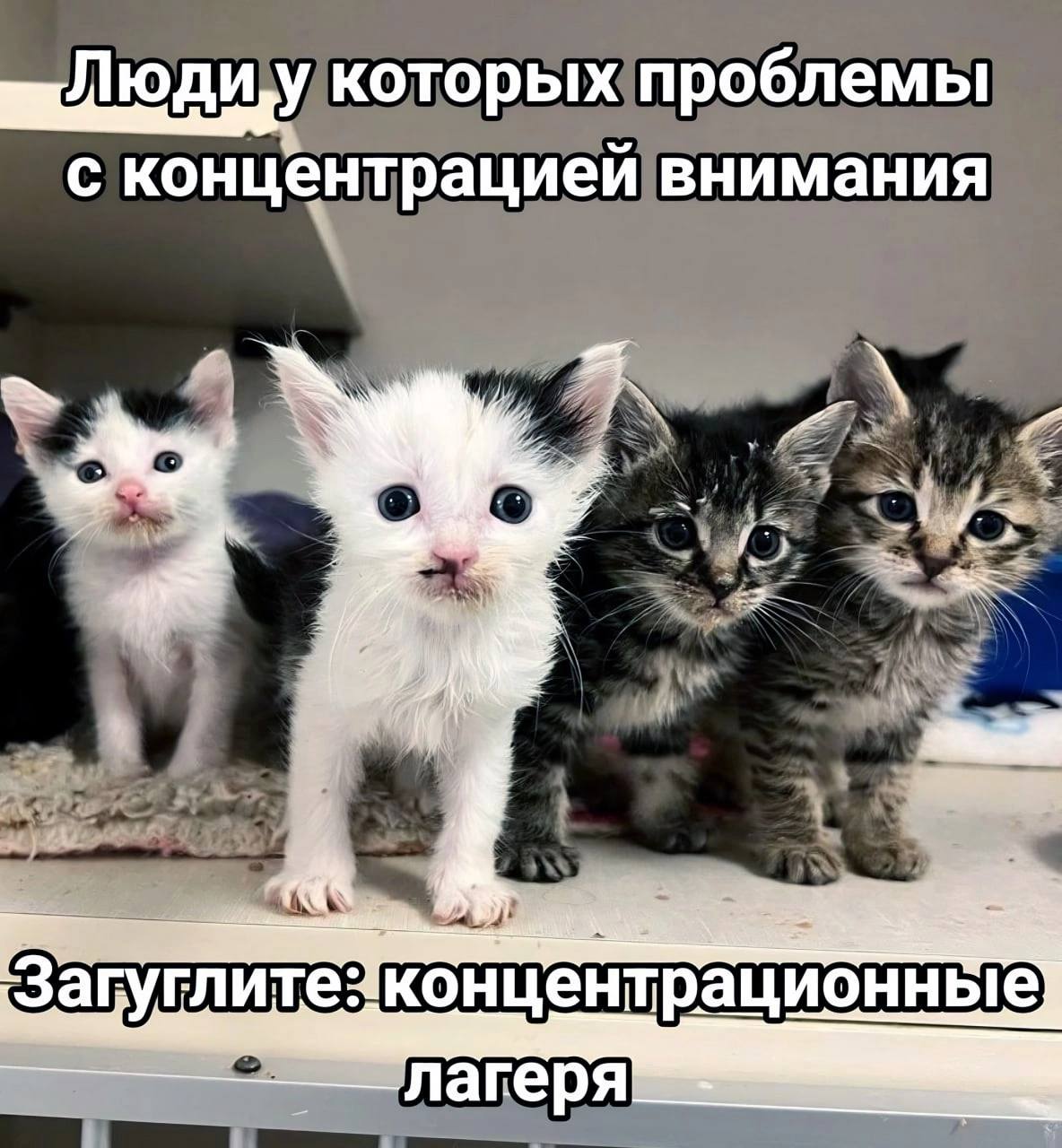 которых проблемы с концентрацией внимания 4. Загуглите4концентрационные]