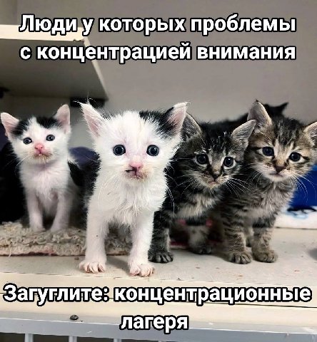 которых проблемы с концентрацией внимания 4. Загуглите4концентрационные]