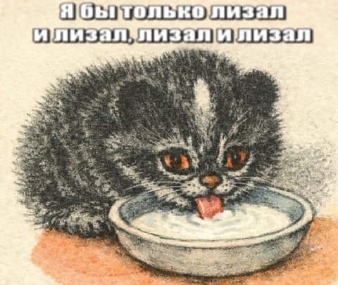 у у 4 С a к. в у «А 4 3 at к в. 3 к Я 35 3% 4 pete к... ail 2% 7 2 3 wey Be BAL aid we ЗА: 4 a a