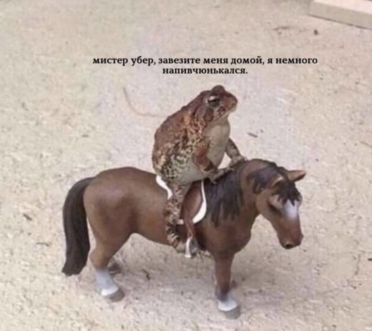 мистер убер, завезите меня домой, я немного напивчюнькался.