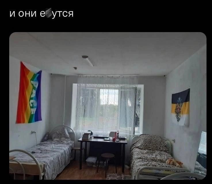 и они ебутся