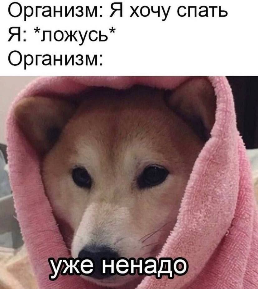 Организм: Я хочу спать Я: *ложусь* Организм: уже ненадо