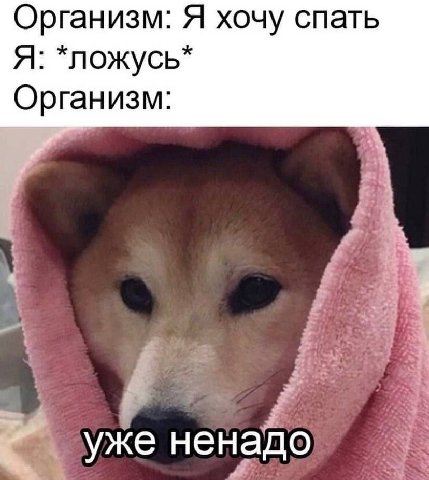 Организм: Я хочу спать Я: *ложусь* Организм: уже ненадо