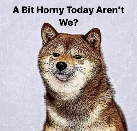 A Bit Horny Today We or Wan a AS 2a