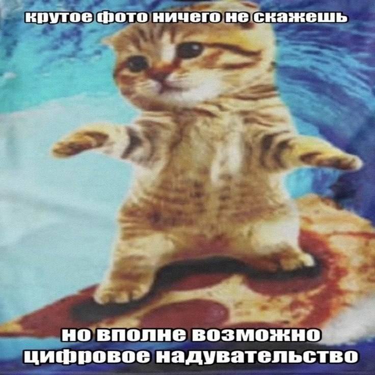 крутое фото ничего не скажешь ВПОЛНЕ ВОЗМОЖНО цифровое надувательство