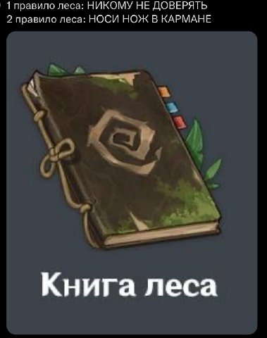 1 правило леса: НИКОМУ НЕ ДОВЕРЯТЬ 2 правило леса: НОСИ НОЖ В КАРМАНЕ Книга леса