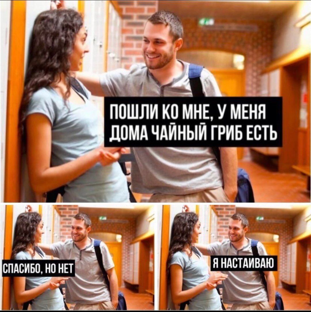 ПОШЛИ МНЕ, У МЕНЯ у ДОМА ЧАИНЫЙ ГРИБ ЕСТЬ СПАСИБО. НО НЕТ Я НАСТАИВАЮ а