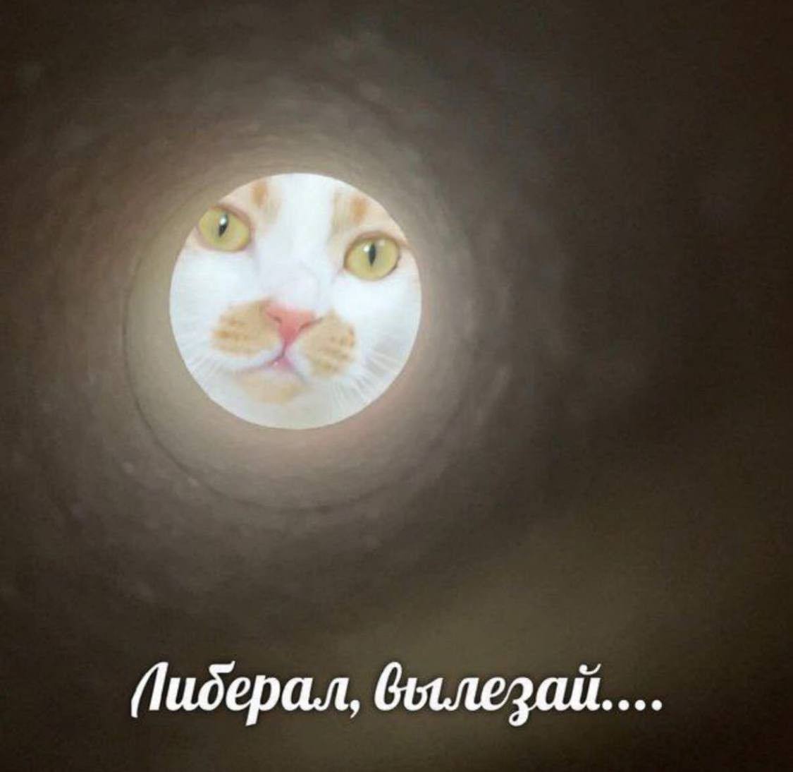 вылезай