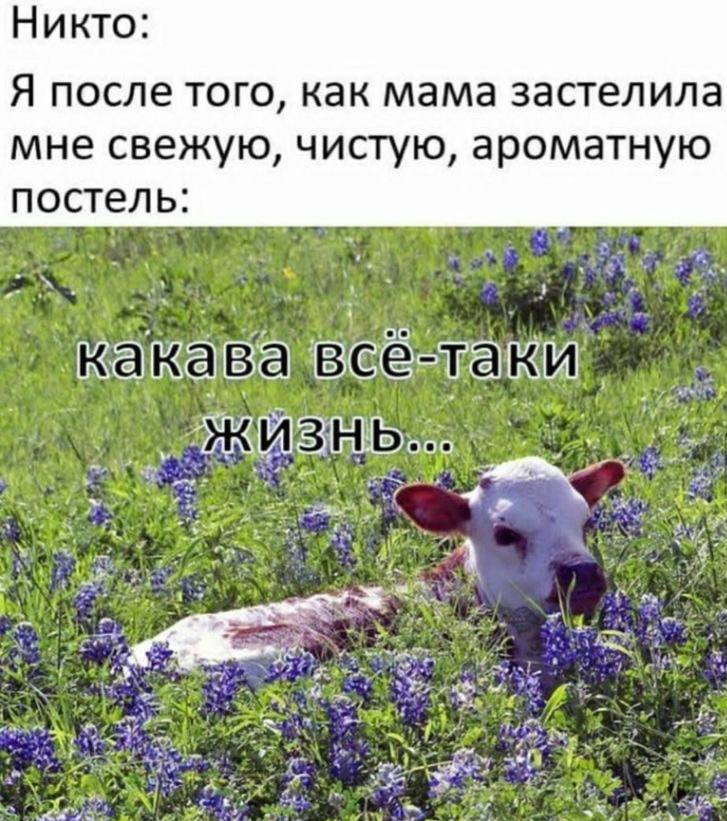 Никто: то. Я после того, как мама застелила мне свежую, чистую, ароматную постель: у a 7 4 у 1 у A BGe= ‘a 4 Я (3 АНА у 7 у 4 7% К Vag в. к 7 6 7. 3 4 2 a А 4 i