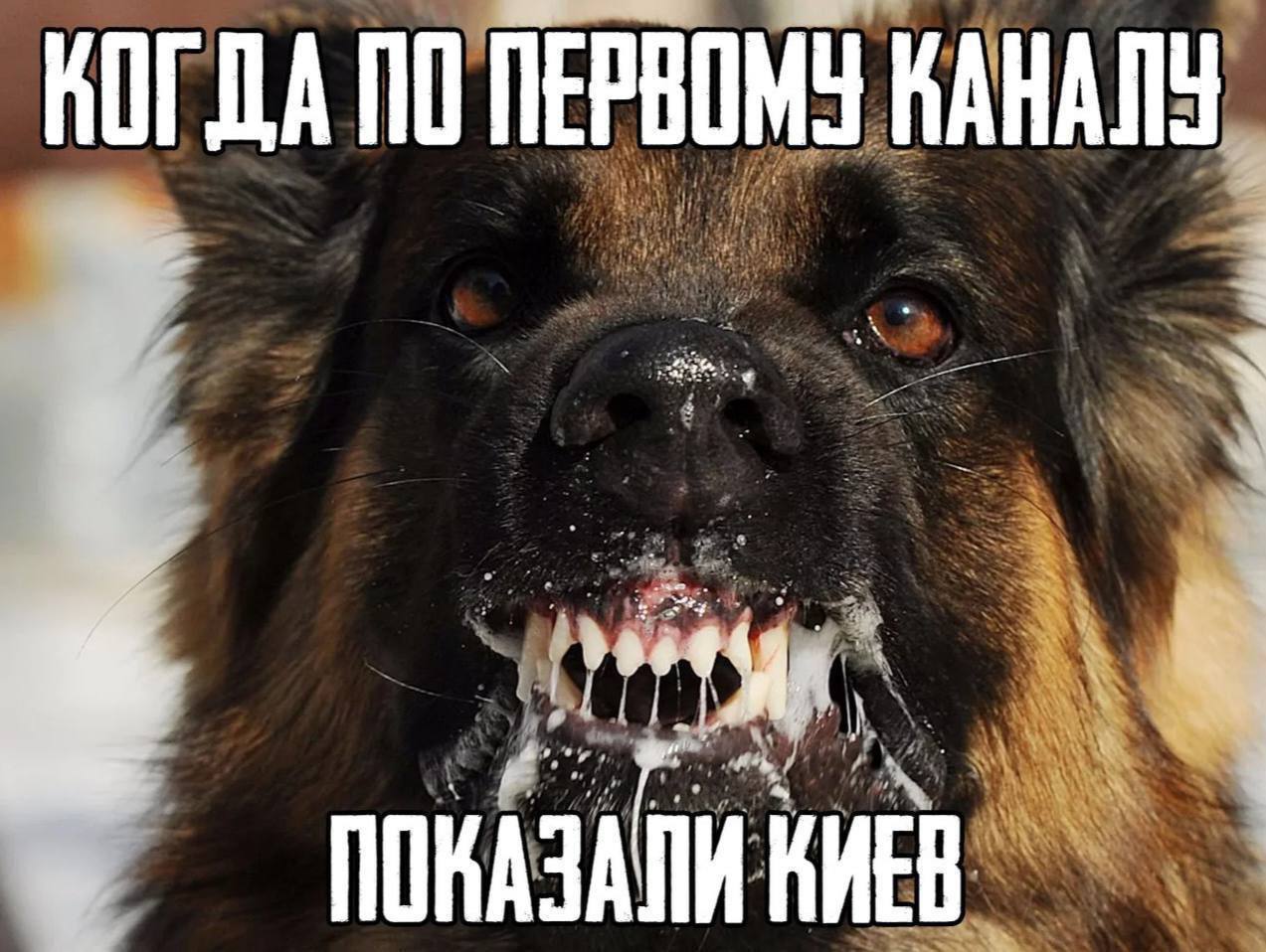 КОГДА ПО ПЕРВОМУ КАНАЛУ ПОКАЗАЛИ КИЕВ