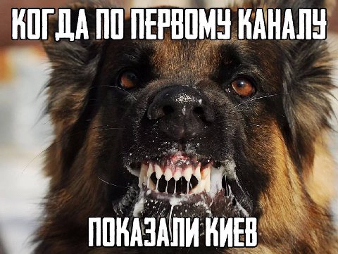 КОГДА ПО ПЕРВОМУ КАНАЛУ ПОКАЗАЛИ КИЕВ
