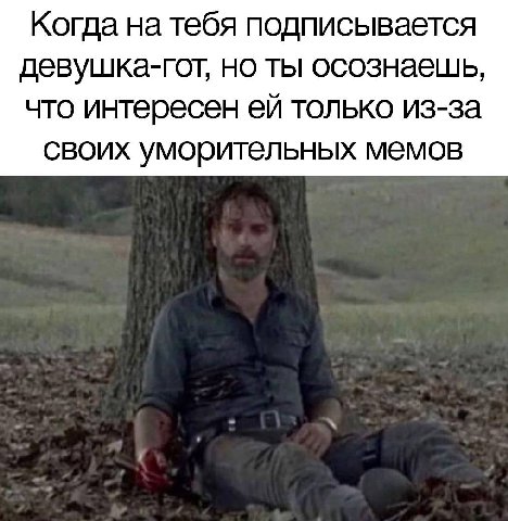 Когда на тебя подписывается девушка-гот, но ты осознаешь, что интересен только из-за своих уморительных мемов