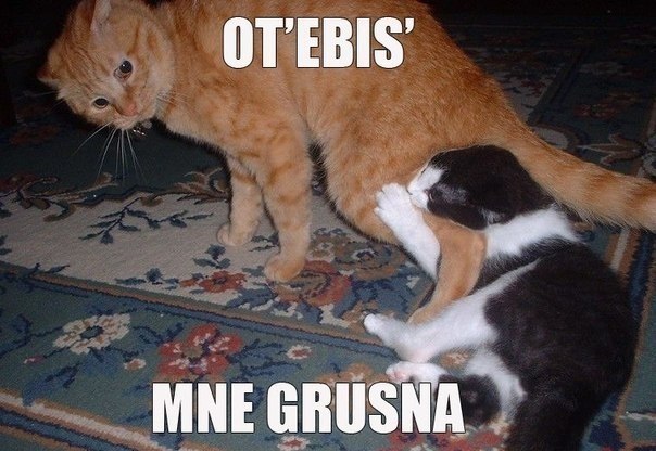 MNE