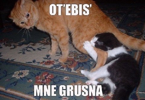 MNE