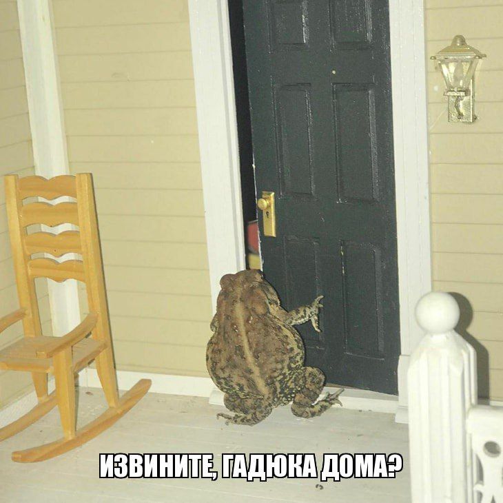 a 'ИЗВИНИТЕ ДОМА?