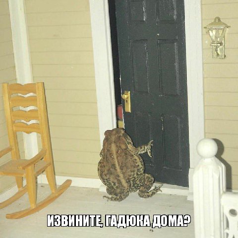 a 'ИЗВИНИТЕ ДОМА?