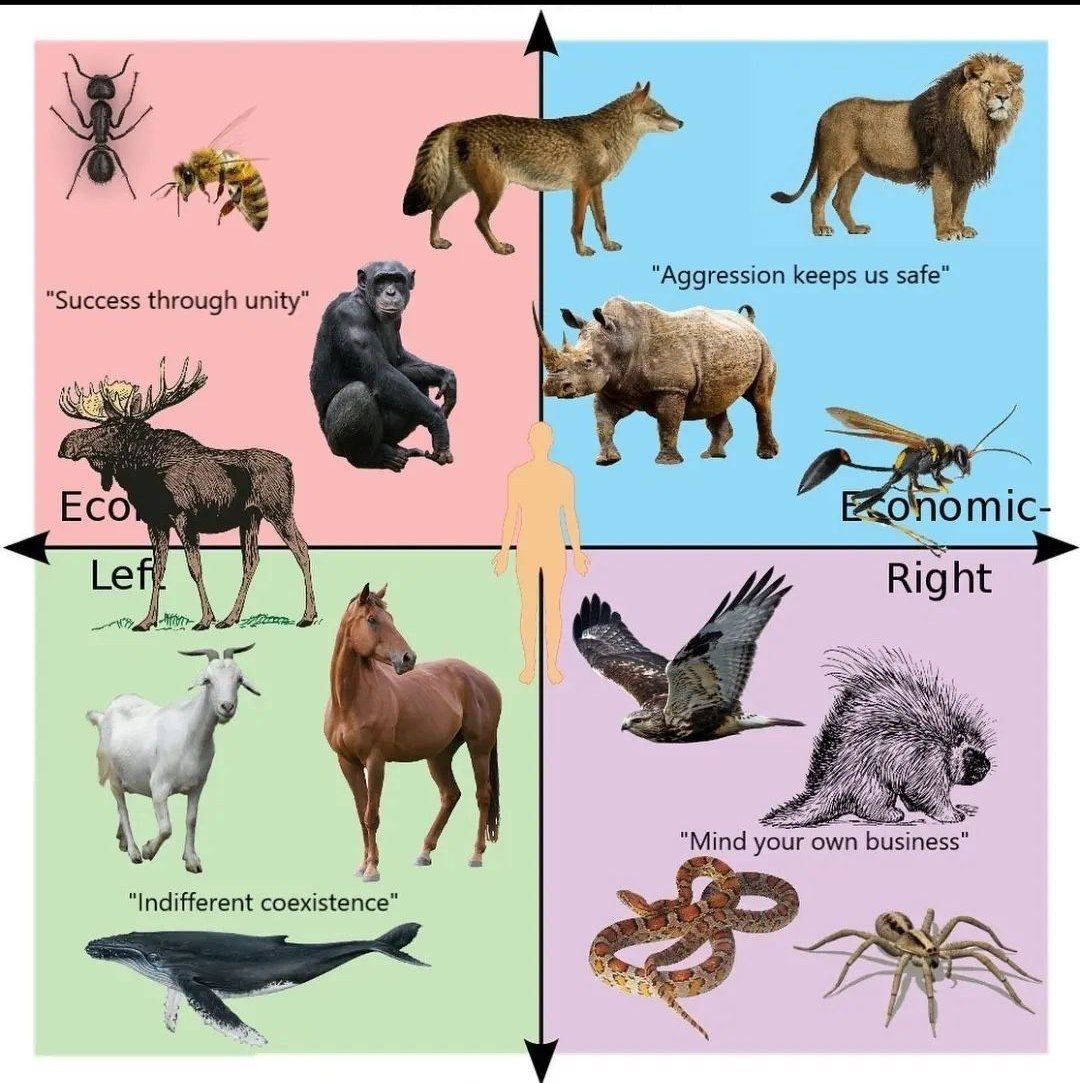 “Aggression keeps safe” "Success through unity" Eco omic- Right “Mind your own “Indifferent coexistence”