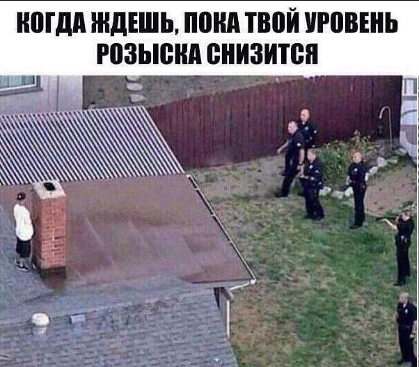 КОГДА ЖДЕШЬ, ПОКА ТВОЙ УРОВЕНЬ РОЗЫСКА СНИЗИТСЯ