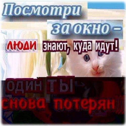 it смотр