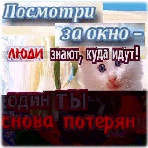 it смотр