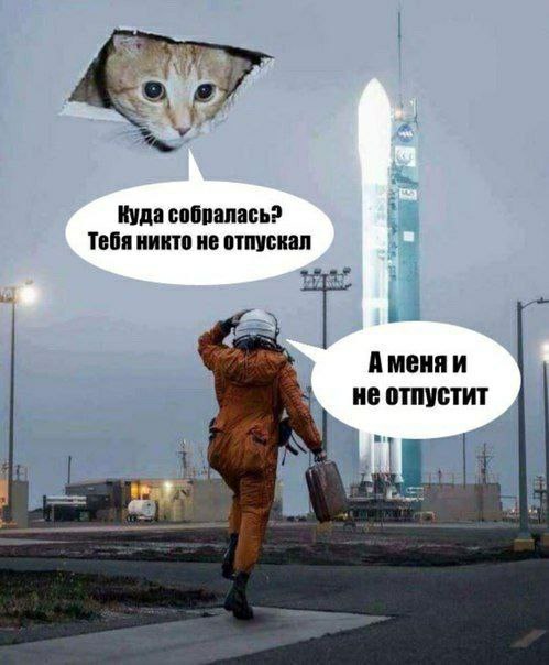 Куда собралась? Тебя никто не отпускал Аменяи не отпустит