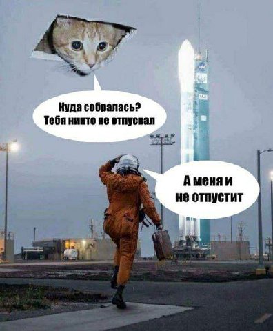 Куда собралась? Тебя никто не отпускал Аменяи не отпустит