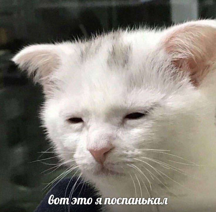 доброе утро