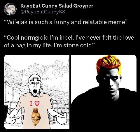 RaypEat Cunny Salad Groyper @RaypEatCunny88 “Wifejak is such a funny and relatable meme” “Cool normgroid incel. I’ve never felt the love of a hag in my life. stone cold” “3