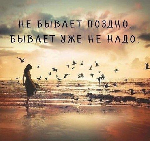 WE БЫВАЕТ ПОЗДНО HE 4 4 4 2 5%