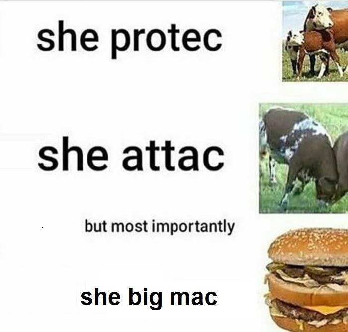 she protec she аЦас but most importantly she big mac